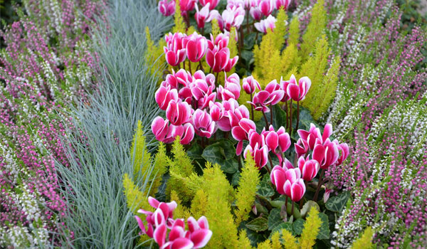 Grab im Herbst mit bunten Blumen.