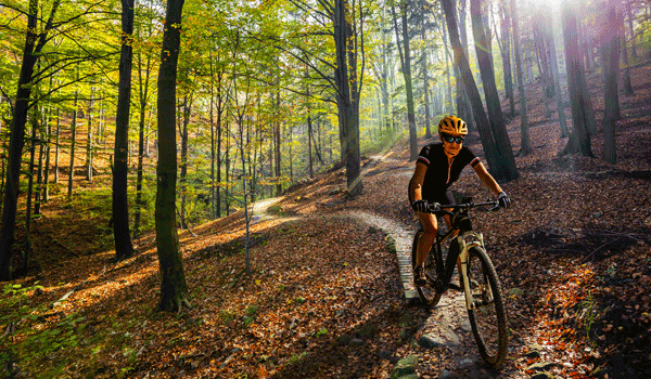 Eine Frau fährt mit dem Mountainebike durch den Wald.