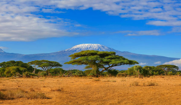 Afrikanische Savanne. Im Hintergrund der Killimandscharo.