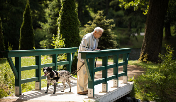 Älterer Mann schaut im Park über eine Brücke, während er seinen Hund an der Leine führt.