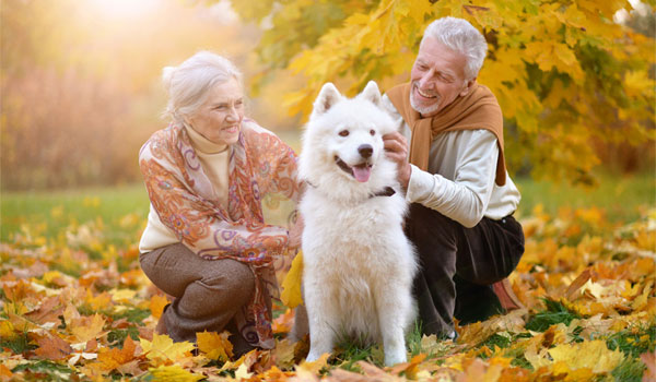 Ein älteres Pärchen streichelt ihren weißfelligen Hund in der Herbstsonne.