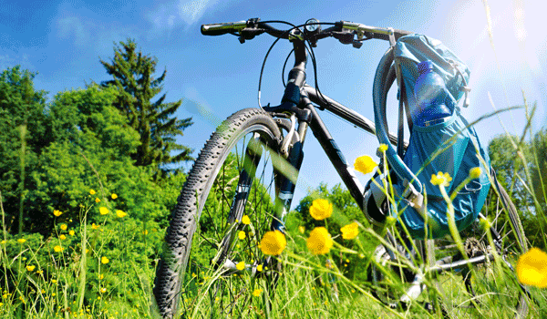 Ein Trekkingfahrrad auf einer Wiese. 