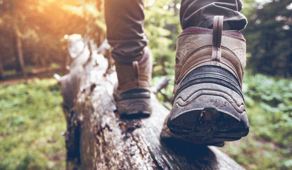 Wanderschuhe, welche über einen dicken Baumstamm gehen. 