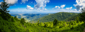 Der Schwarzwald - Panoramablick