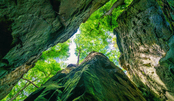 Das bekannteste Naturdenkmal der Südeifel - die Teufelsschlucht.