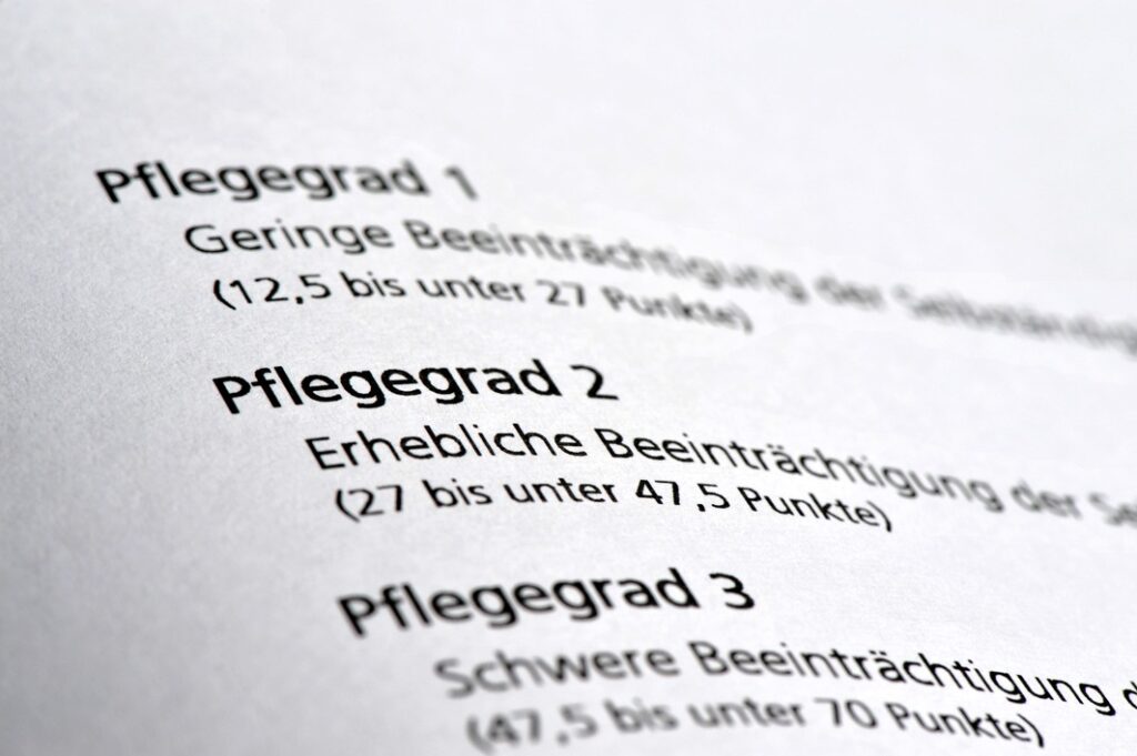 Textausschnitt mit den Pflegegraden 1, 2 und 3 und deren Beschreibungen zu Beeinträchtigungen und Punktzahlen