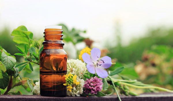 Ein kleine Flasche eingerahmt durch verschiedenen Gartenkräuter.