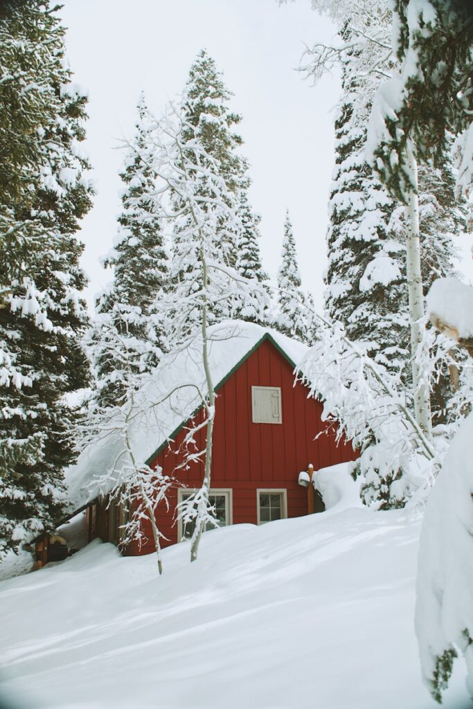Rotes Holzhaus mit grünem Dach umgeben von schneebedeckten Tannen in winterlicher Landschaft