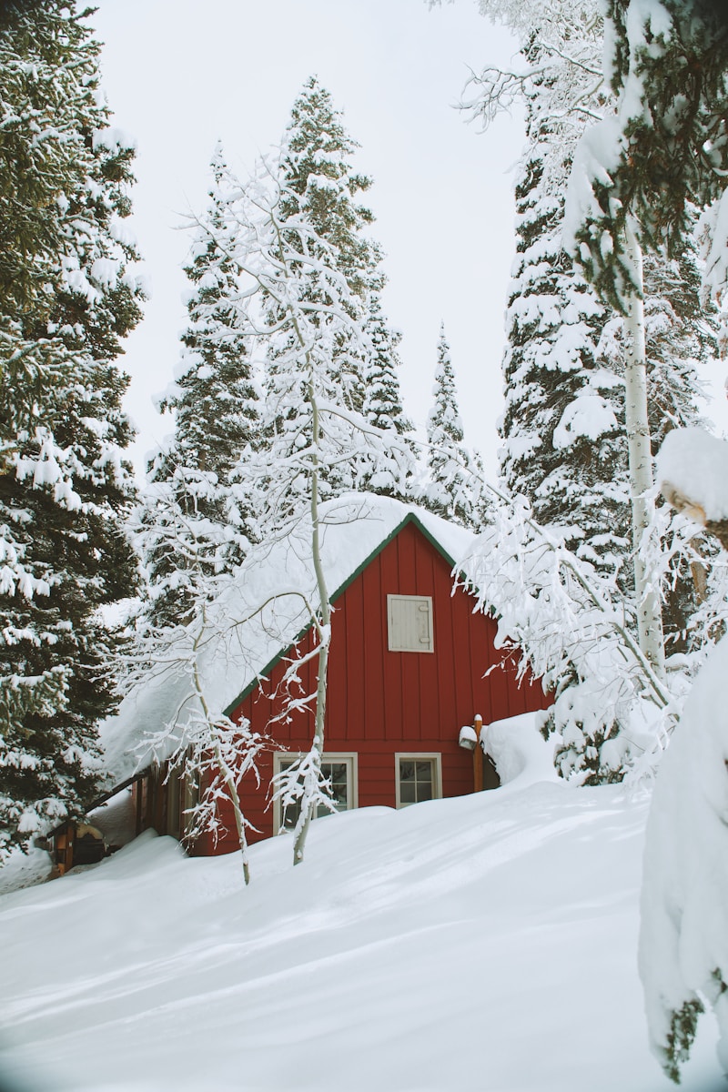 Rotes Holzhaus mit grünem Dach umgeben von schneebedeckten Tannen in winterlicher Landschaft
